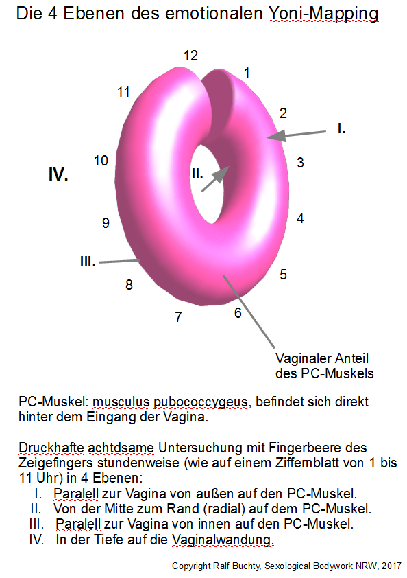Die 4 Ebenen des Yoni-Mapping