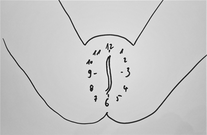 Die vaginale Uhr